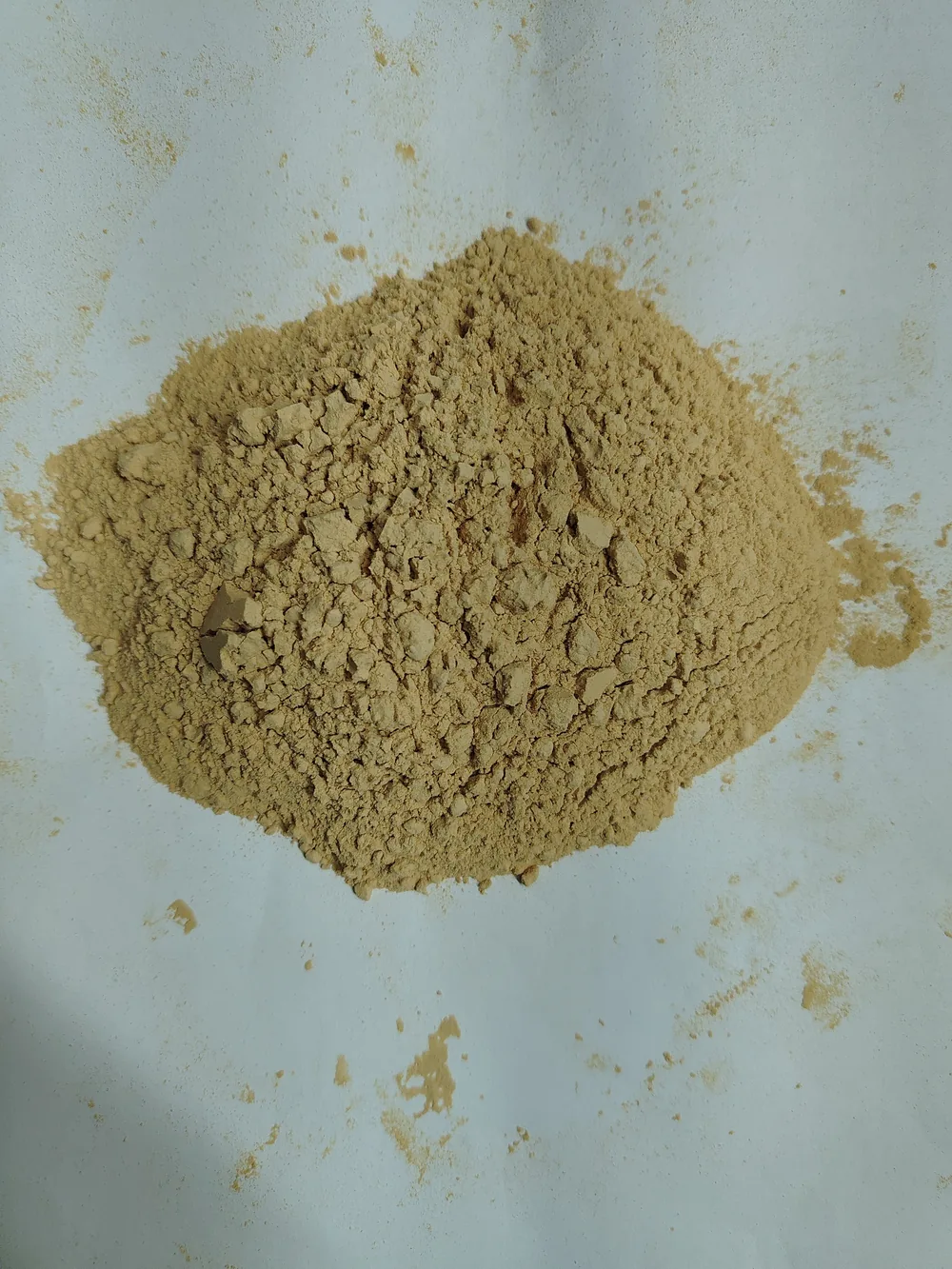 Unedited photo of raw amla powder, exactly as sourced